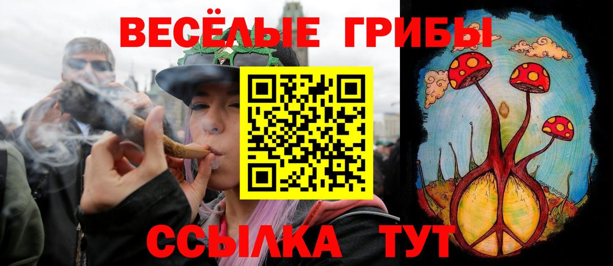Галлюциногенные грибы Cubensis  Псилоцибиновые грибы мицелий  Калуга  Вход с VPN 